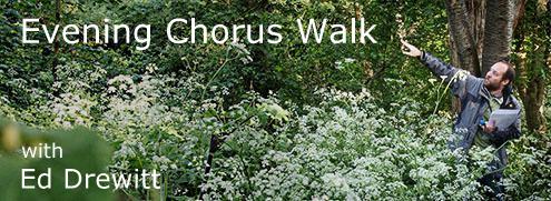 chorus walk 1